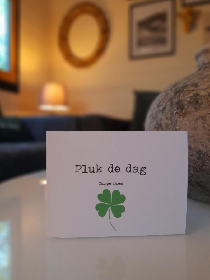 Carpe Diem, Het Ruime Chalet Met Houtkachel Nabij Wildlands Emmen Schoonebeek ภายนอก รูปภาพ